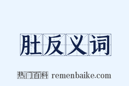 肚反义词是什么意思的图片